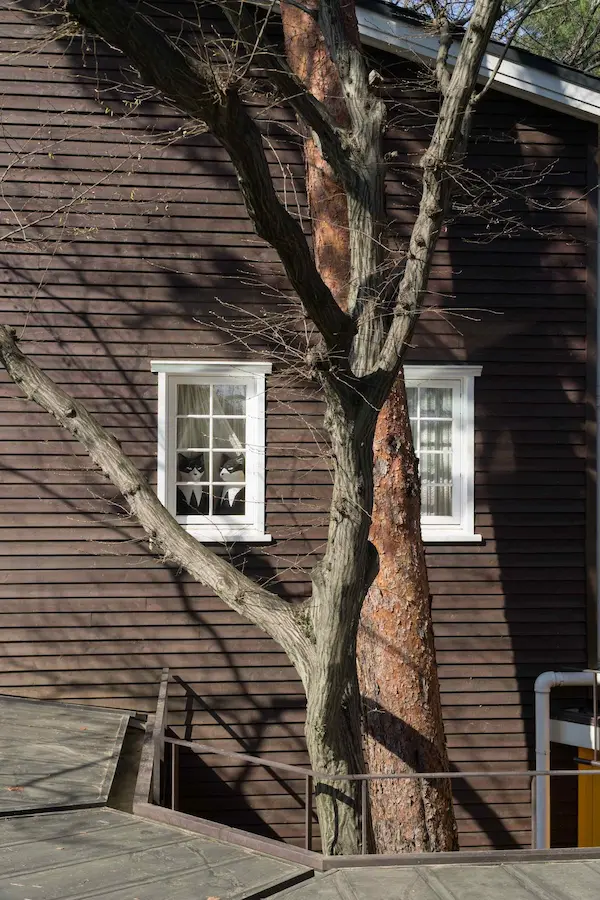 Studio Ghibli tree and window